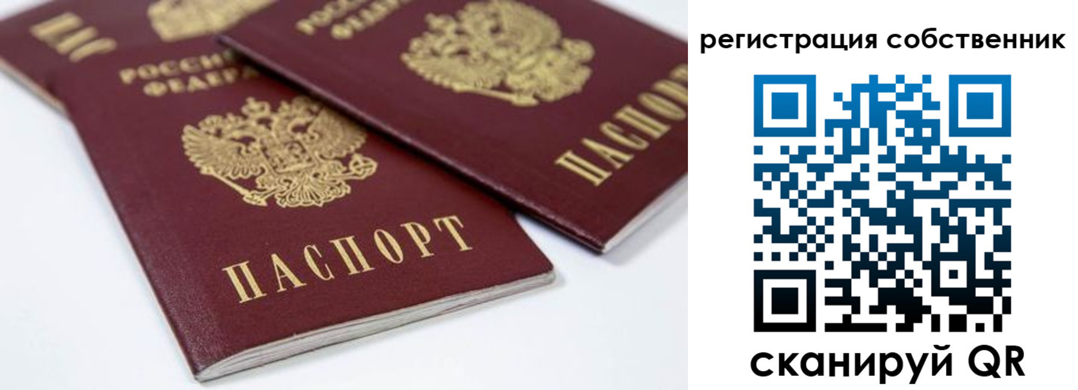 прописка для школы в Окуловке